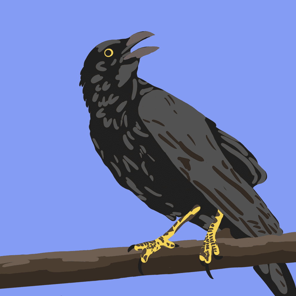 Corbeau aux yeux jaunes